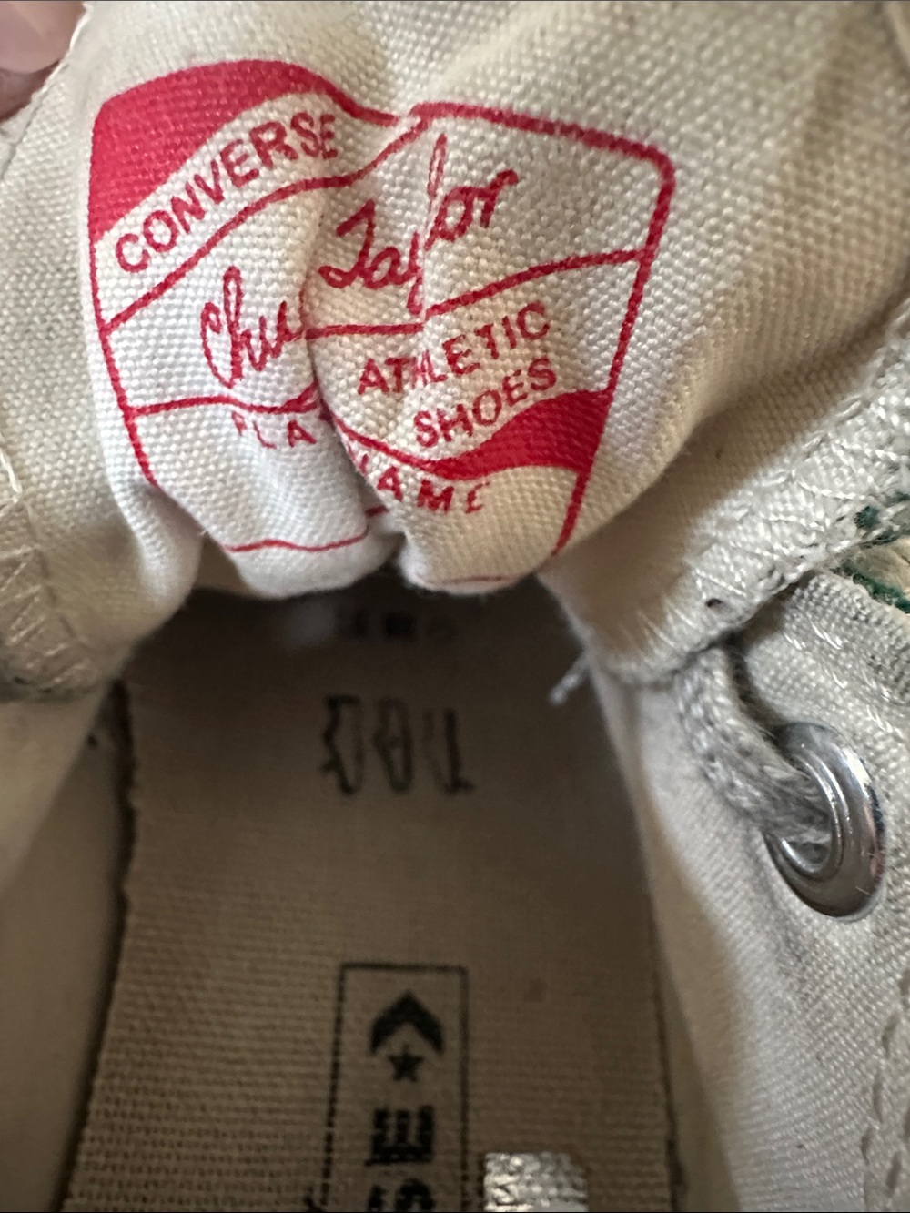 Converse  All Star Low Top Canvas Sneakers in Green - Picture 4 of 4